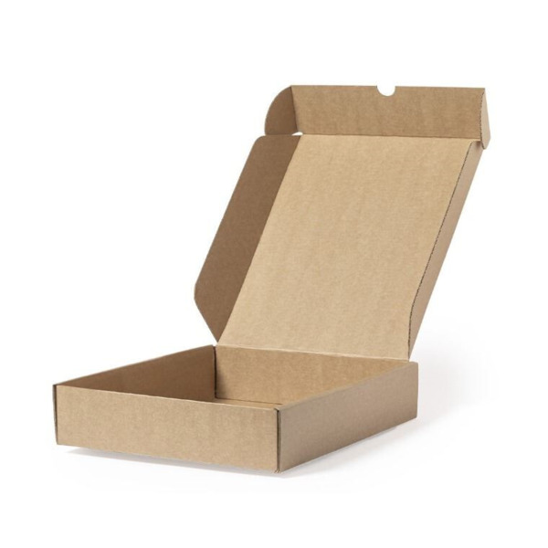 CAJAS DE CARTON KRAFT (3)